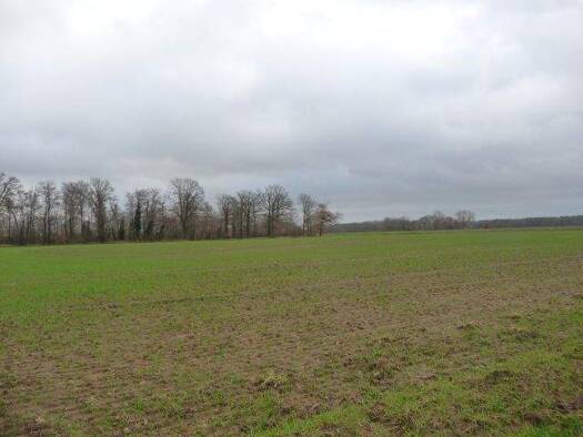 Land-/Forstwirtschaft zum Kauf 36.538 m² Grundstück Wulften Badbergen 49635