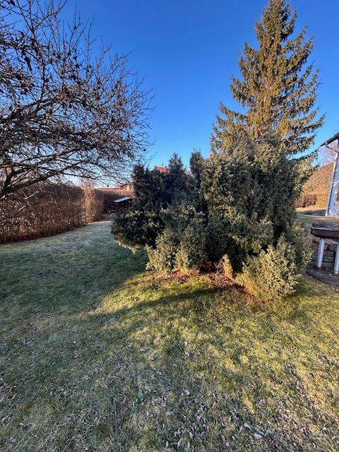 Immobilie in Stadtilm - Ruhe und Komfort 3 Raum Eigentumswohnung - Bild 4