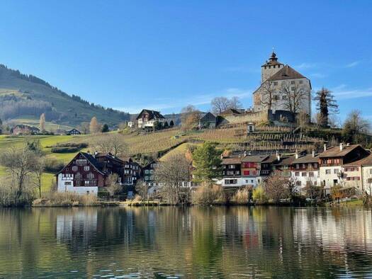 Haus zum Kauf 6 Zimmer 220 m² 172 m² Grundstück Werdenberg 9470