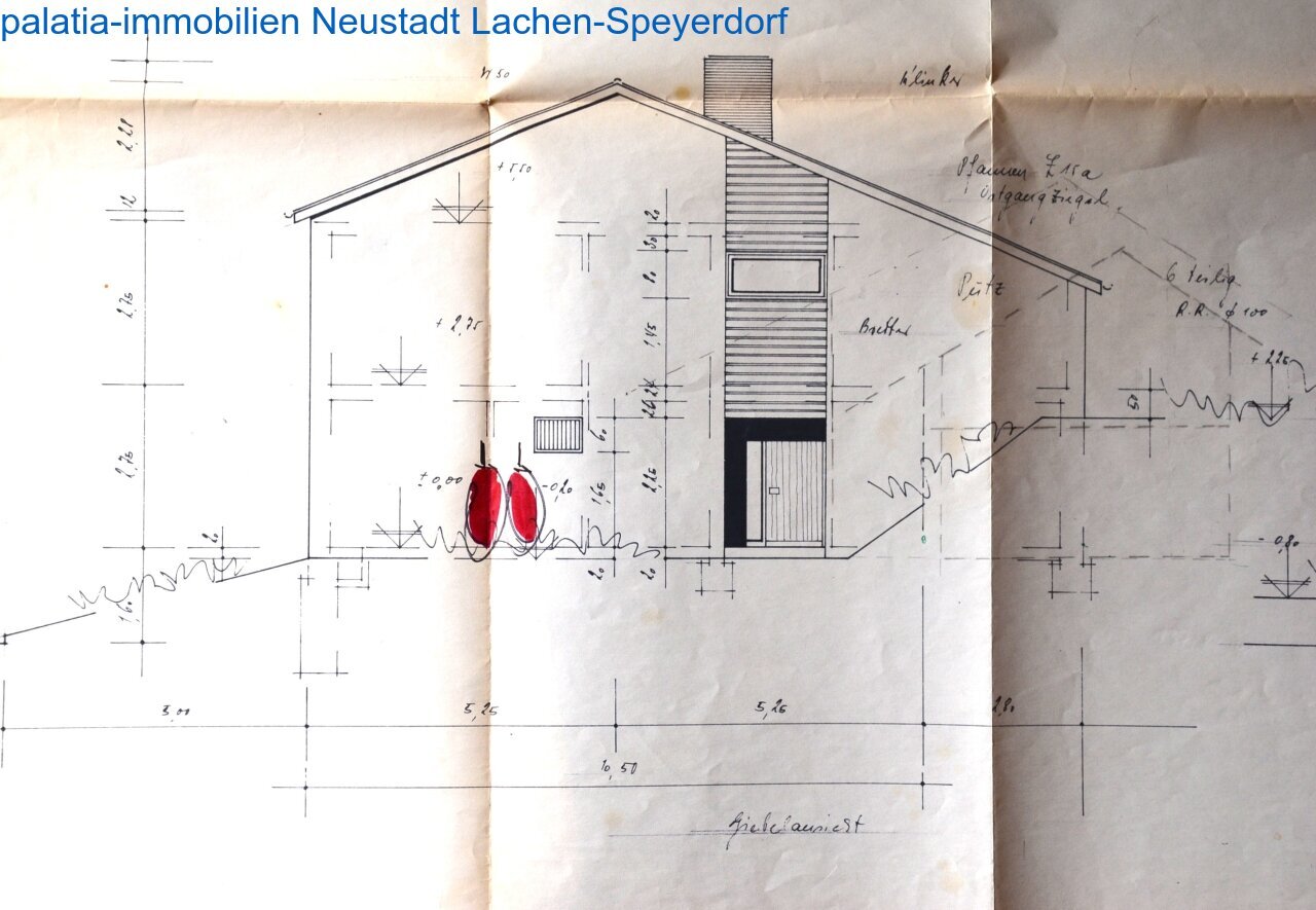 Einfamilienhaus zum Kauf 495.000 € 8 Zimmer 135 m²<br/>Wohnfläche 532 m²<br/>Grundstück Wachenheim an der Weinstraße 67157