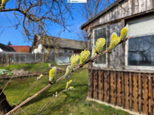 Haus zum Kauf 159.000 € 6 Zimmer 140 m² 1.120 m² Grundstück Goschenreith 3822