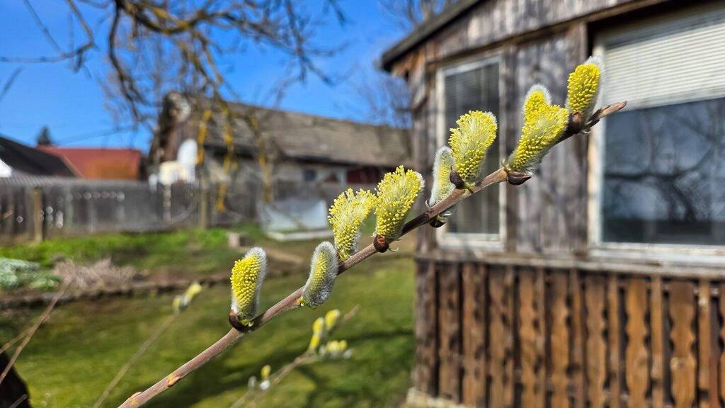 Haus zum Kauf 159.000 € 6 Zimmer 140 m² 1.120 m² Grundstück Goschenreith 3822