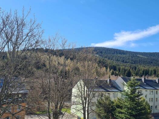Wohnung zum Kauf 105.000 € 3 Zimmer 59 m² 3. Geschoss Oberwiesenthal Oberwiesenthal 09484