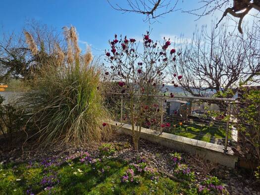 Terrassenwohnung zur Miete 1.300 € 3 Zimmer 105 m² 3 Geschosse frei ab 16.04.2026 Neckarwestheim 74382