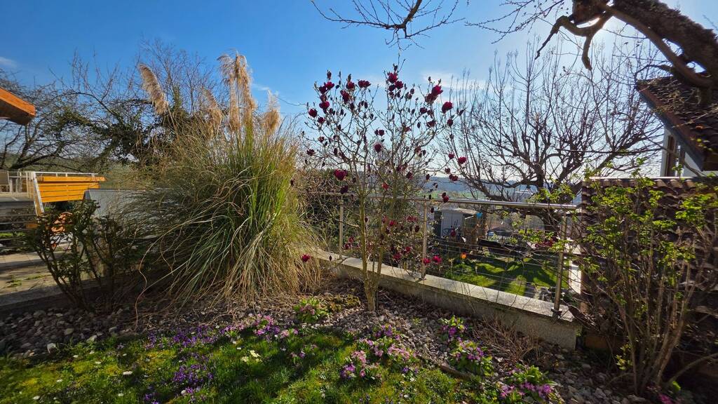 Terrassenwohnung zur Miete 1.300 € 3 Zimmer 105 m² 3 Geschosse frei ab 16.04.2026 Neckarwestheim 74382