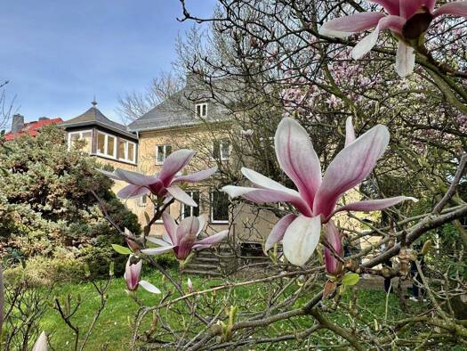 Einfamilienhaus zum Kauf 480.000 € 12 Zimmer 283 m² 980 m² Grundstück Rabenstein Chemnitz 09117