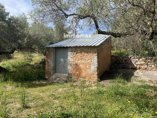 Acker-/Waldstück zum Kauf 22.000 € Xerta 43592