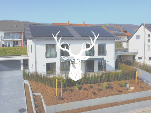 Doppelhaushälfte zum Kauf 899.000 € 5,5 Zimmer 151 m² 475 m² Grundstück frei ab sofort Tiengen Waldshut-Tiengen 79761