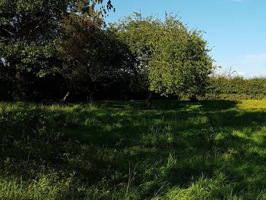 Grundstück zum Kauf 89.000 € 1.190 m² Grundstück Zickhusen Zickhusen 19069