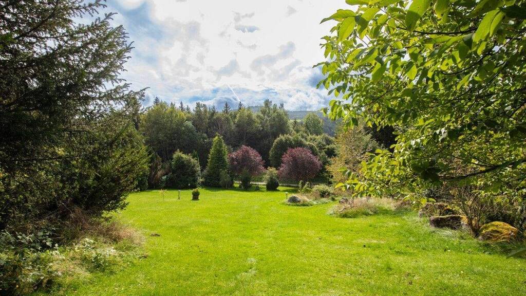 Grundstück zum Kauf 275.000 € 1.000 m² Grundstück Breitnau 79874