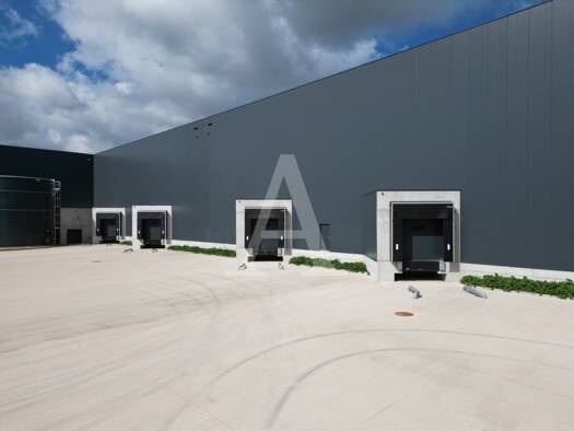 Halle/Industriefläche zur Miete provisionsfrei 9.630 m² Lagerfläche teilbar ab 9.630 m² Kerpen 50171