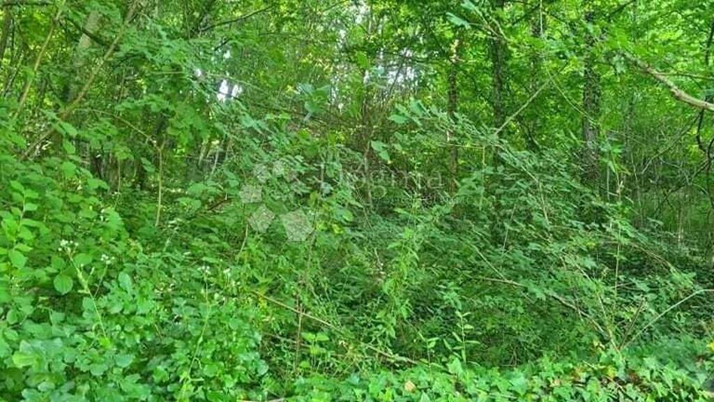 Land-/Forstwirtschaft zum Kauf 147.000 € Sesvete sjever