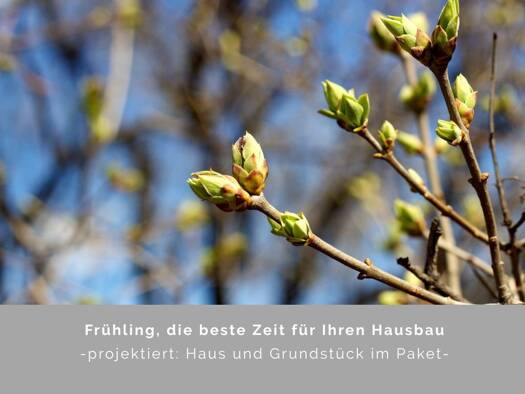 Einfamilienhaus zum Kauf 771.400 € 5 Zimmer 154,1 m² 586 m² Grundstück Lemsahl-Mellingstedt Hamburg 29399