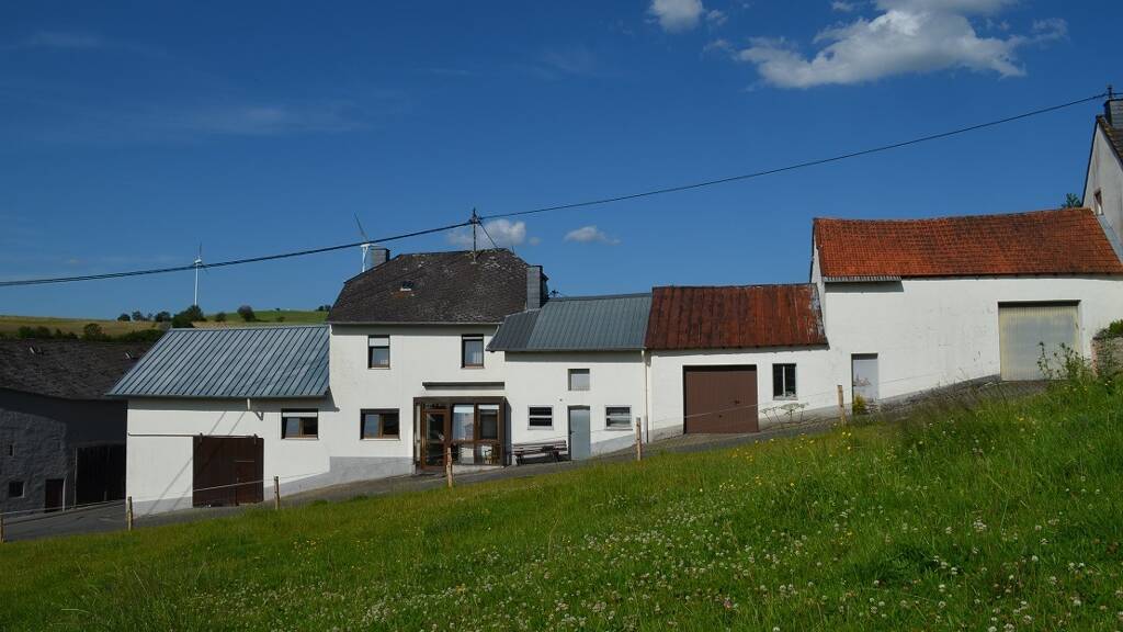 Bauernhaus zum Kauf 99.000 € 3 Zimmer 120 m² 467 m² Grundstück Plütscheid 54597