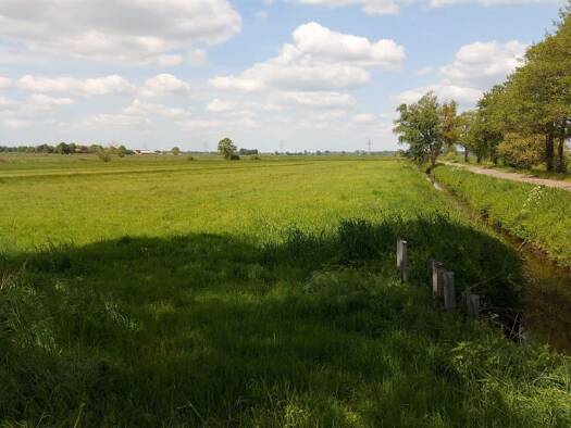 Landwirtschaftliche Fläche zum Kauf 63.195 € 25.278 m² Grundstück Nordenholzermoor Hude (Oldenburg) 27798