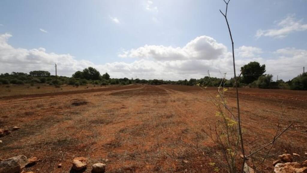 Haus zum Kauf 170.000 € 3 Zimmer 15.000 m² Grundstück Algaida