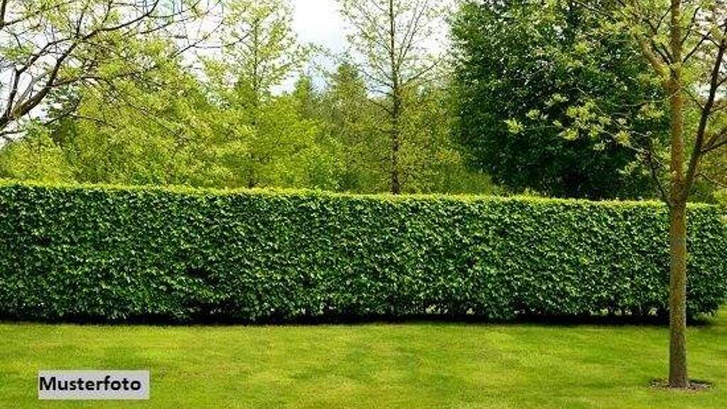 Freizeitgrundstück zum Kauf 47.000 € 1.210 m² Grundstück Münchendorf 2482