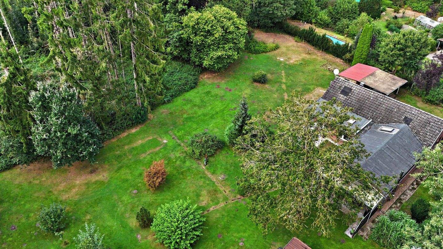 Immobilie in Wildeshausen - Einfamilienhaus auf großzügigem Grundstück mit vielfältigen Nutzungsmöglichkeiten - Bild 4