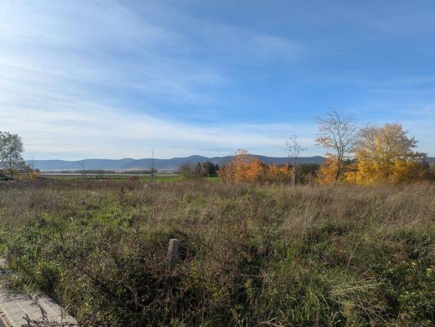 Grundstück zum Kauf provisionsfrei 487.500 € 650 m² Grundstück frei ab sofort Lachen-Speyerdorf Neustadt 67435