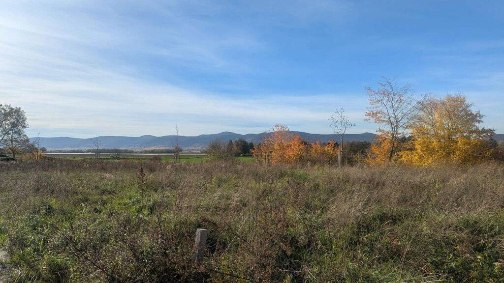 Grundstück zum Kauf provisionsfrei 487.500 € 650 m² Grundstück frei ab sofort Lachen-Speyerdorf Neustadt 67435