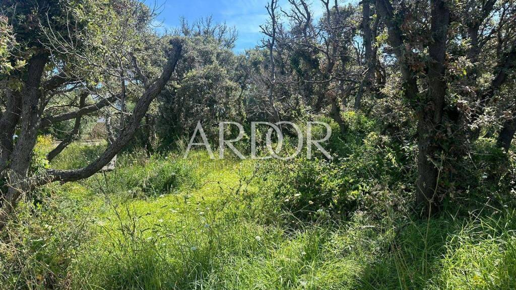 Land-/Forstwirtschaft zum Kauf 164.000 € Potocnica, Novalja Novalja