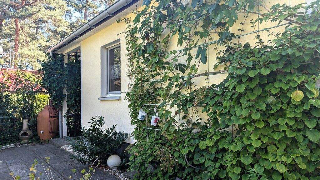 Bungalow zum Kauf 75.000 € 2 Zimmer 65 m² 460 m² Grundstück Plodda 06774