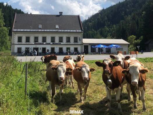 Restaurant zum Kauf 299.000 € 1.777 m² Grundstück Wegscheid 4 Mariazell 8630