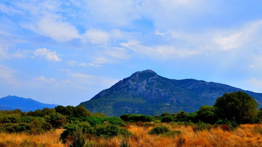 Grundstück zum Kauf provisionsfrei 230.000 € 70.000 m² Grundstück Galtelli 08020