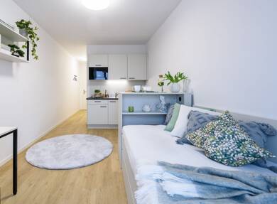 Studio zur Miete 563 € 1 Zimmer 19,4 m² 3. Geschoss frei ab sofort Ahornstraße 4 Babelsberg - Süd Potsdam 14482