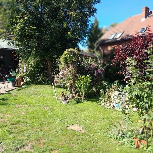 Einfamilienhaus zum Kauf 369.000 € 8 Zimmer 284,5 m²<br/>Wohnfläche 1.460 m²<br/>Grundstück Schulstraße 1 Neustadt Neustadt (Dosse) 16845