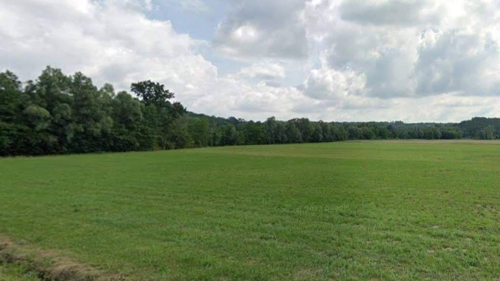 Land-/Forstwirtschaft zum Kauf 972.000 € Koncanica