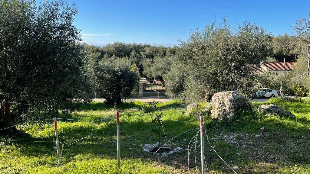 Land-/Forstwirtschaft zum Kauf 200.000 € 4.500 m² Grundstück Korfu