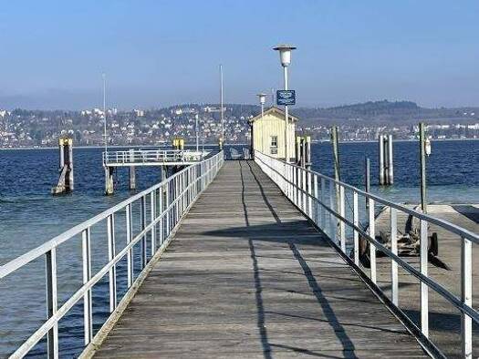 Grundstück zum Kauf 1.650.000 € 1.107 m² Grundstück Dingelsdorf Konstanz 78465