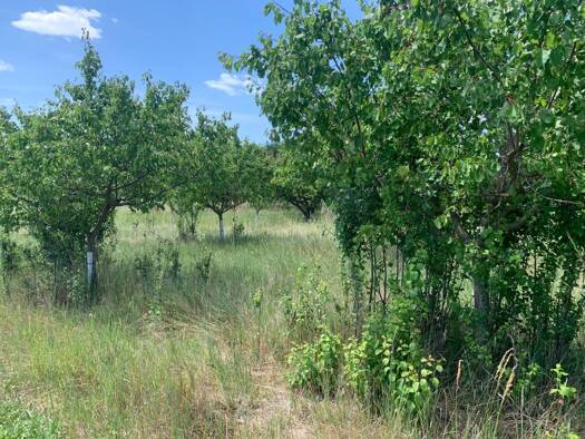 Land-/Forstwirtschaft zum Kauf 84.000 € 10.460 m² Grundstück Prottes 2242
