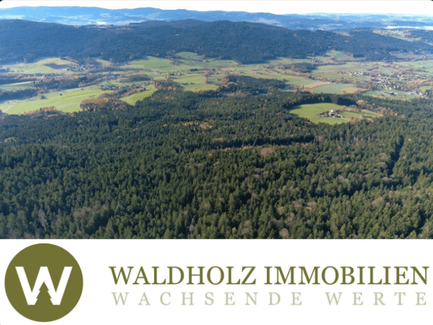 Forstwirtschaft zum Kauf 325.000 € 93.060 m² Grundstück Arnbruck Arnbruck 93471