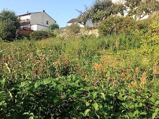 Grundstück zum Kauf 165.000 € 900 m² Grundstück Treuchtlingen Treuchtlingen 91757