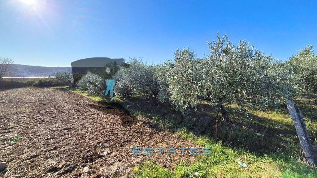 Land-/Forstwirtschaft zum Kauf 185.000 € Kastela