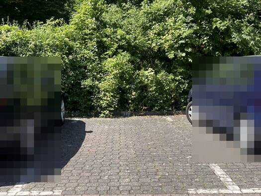 Außenstellplatz zur Miete provisionsfrei 50 € 12 m² Nord-Holland Nord (Holland) 34127