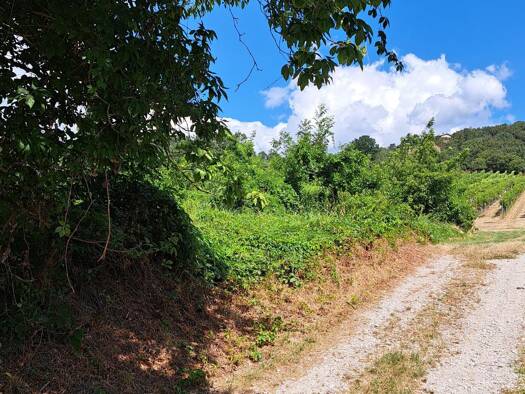 Grundstück zum Kauf 1.350.000 € 1.402 m² Grundstück Langenzersdorf 2103