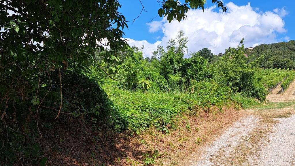 Grundstück zum Kauf 1.350.000 € 1.402 m² Grundstück Langenzersdorf 2103