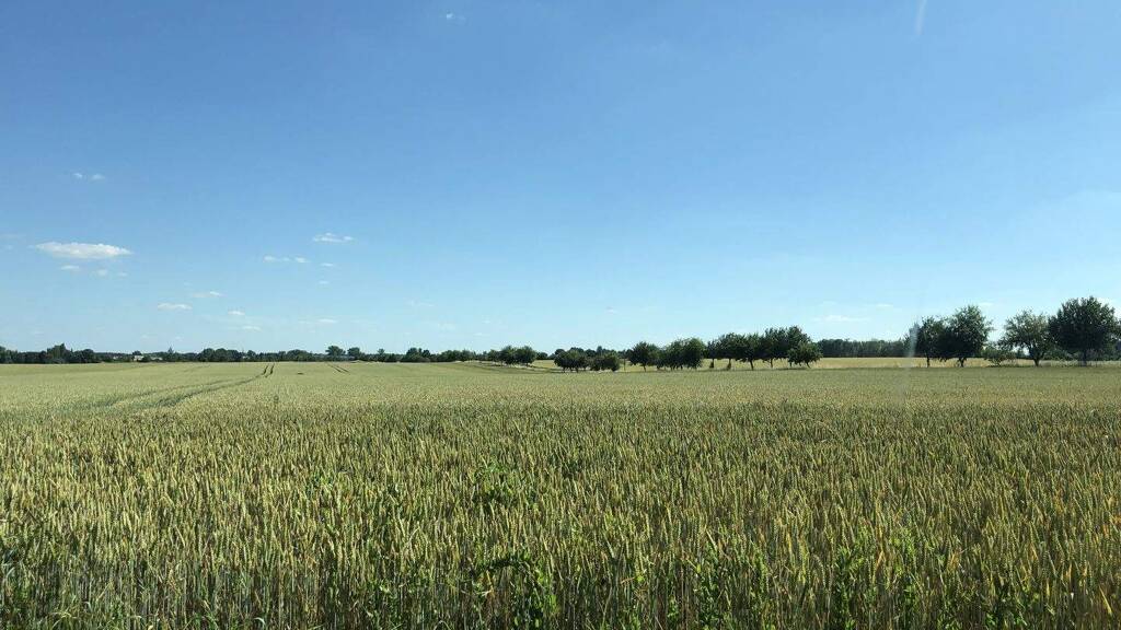 Grundstück zum Kauf 66.200 € 648 m² Grundstück Wyhra Borna 04552