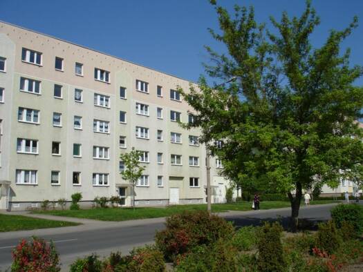 Wohnung zur Miete 395 € 3 Zimmer 60,5 m² EG Adam-Ileborgh-Straße 3 Stendal 39576