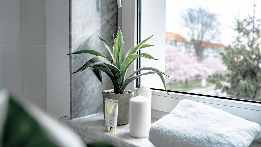 Wohnung zur Miete 317 € 3 Zimmer 60,9 m² 1. Geschoss frei ab sofort Doktor-Senst-Straße 13 Welzow 03119