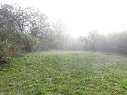 Grundstück zum Kauf provisionsfrei 150.000 € 1.090 m² Grundstück An der Kirche Lindenhardt Creußen 95473