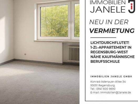Wohnung zur Miete 360 € 1 Zimmer 28 m² Westenviertel Regensburg 93049