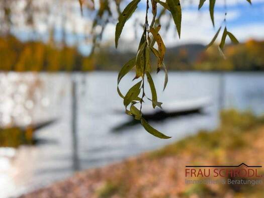 Bungalow zum Kauf 499.000 € 5 Zimmer 177,2 m² 633 m² Grundstück Büsingen am Hochrhein 78266