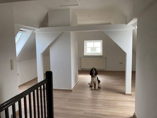 Wohnung zur Miete 276 € 2 Zimmer 46 m² Lengenfeld 08485