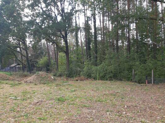 Grundstück zum Kauf 195.000 € 910 m² Grundstück Baugenehmigung vorhanden frei ab sofort Großröhrsdorf 01900