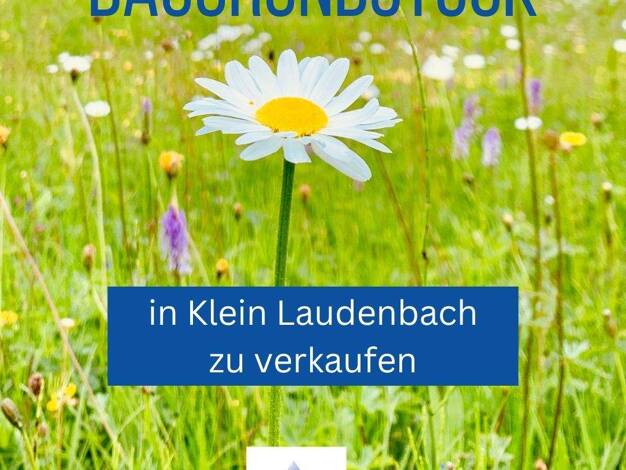 Grundstück zum Kauf 39.500 € 937 m² Grundstück Laudenbach Karlstadt 97753