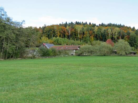 Bauernhaus zum Kauf 665.000 € 230 m² 9.577 m² Grundstück frei ab sofort Garham Hofkirchen 94544